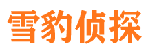 句容市侦探调查公司